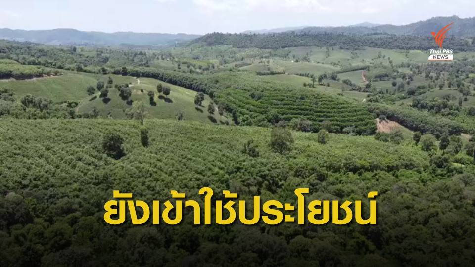 THE EXIT : พิรุธขอสัมปทานป่า 6 พันไร่ จ.เลย ตอน 2