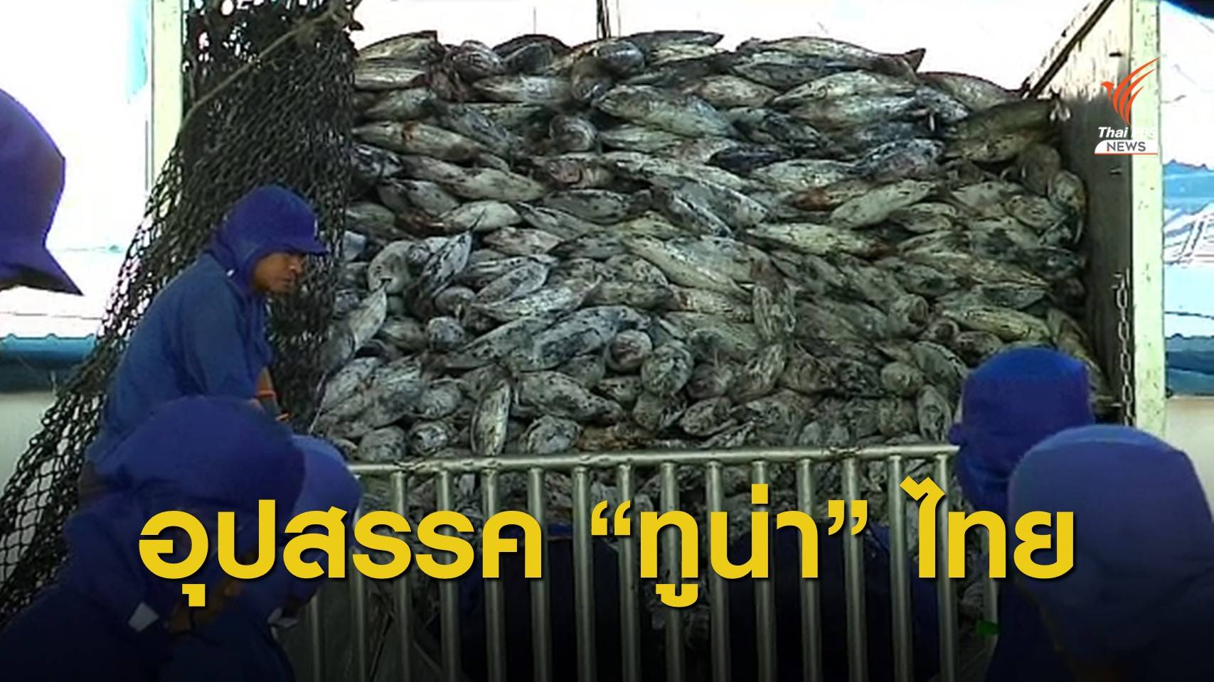 THE EXIT : เปิดกระป๋องทูน่าไทย ตอน 2