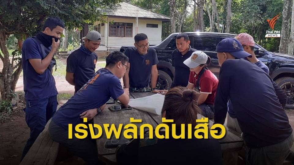 จนท.ระดมกำลังเร่งผลักดันเสือโคร่งในไร่ข้าวโพด จ.อุทัยธานี