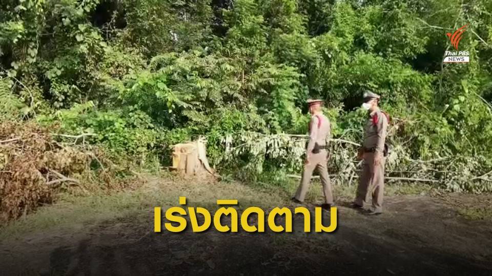 ตร.เร่งติดตามผู้ต้องหาตระเวนลักลอบตัดไม้พะยูงในโรงเรียน-วัด จ.ศรีสะเกษ