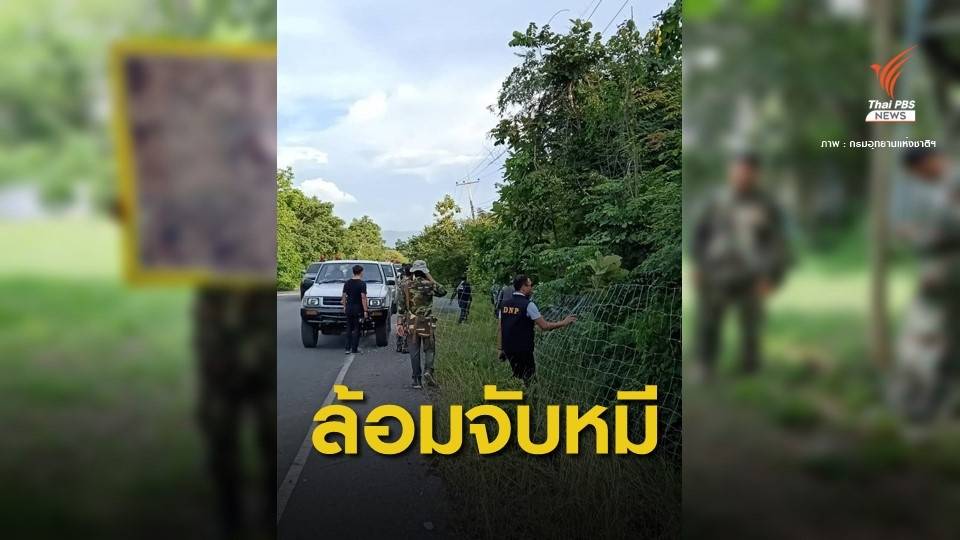 อุทยานฯ ส่งทีมตาม "หมีควาย" หลุดเข้าชุมชน จ.ขอนแก่น