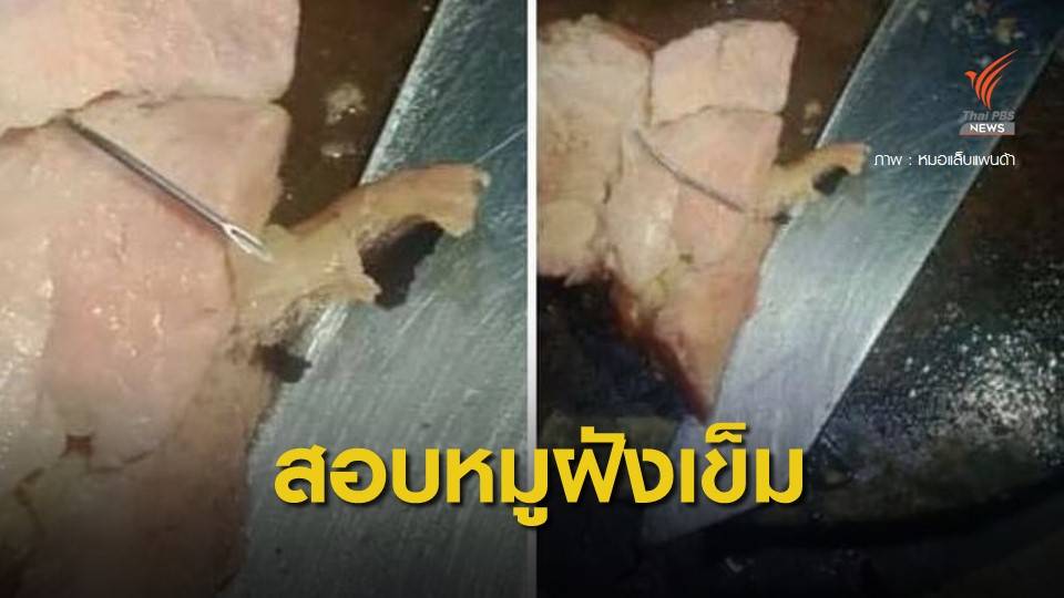 กรมปศุสัตว์เร่งหาต้นตอฟาร์ม "หมูฝังเข็ม" คาดเลี้ยงไม่ได้มาตรฐาน
