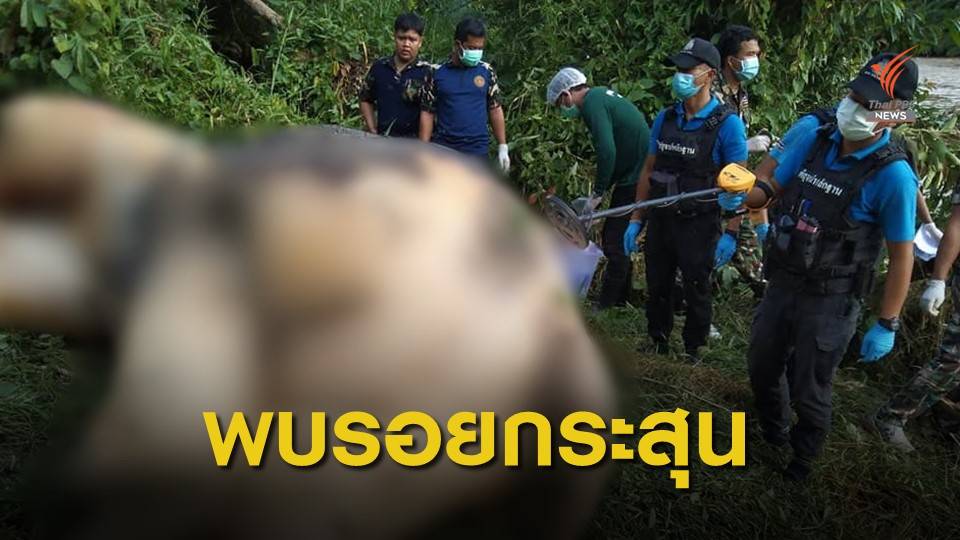 พบซากช้างป่าในอุทยานฯ น้ำตกซีโป คาดถูกฆ่าเอางา