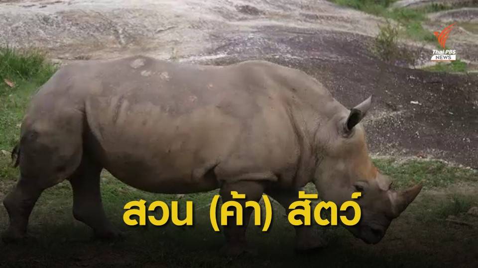 THE EXIT : แกะรอยสวน (ค้า) สัตว์