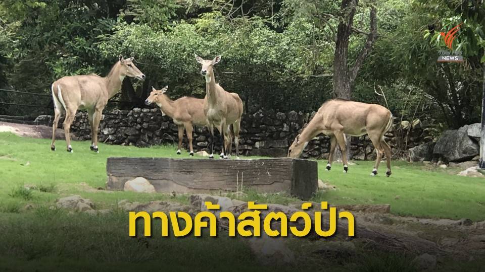 งานวิจัยชี้ ไทยยังเป็นเส้นทาง "การค้าสัตว์ป่า" ของเอเชีย