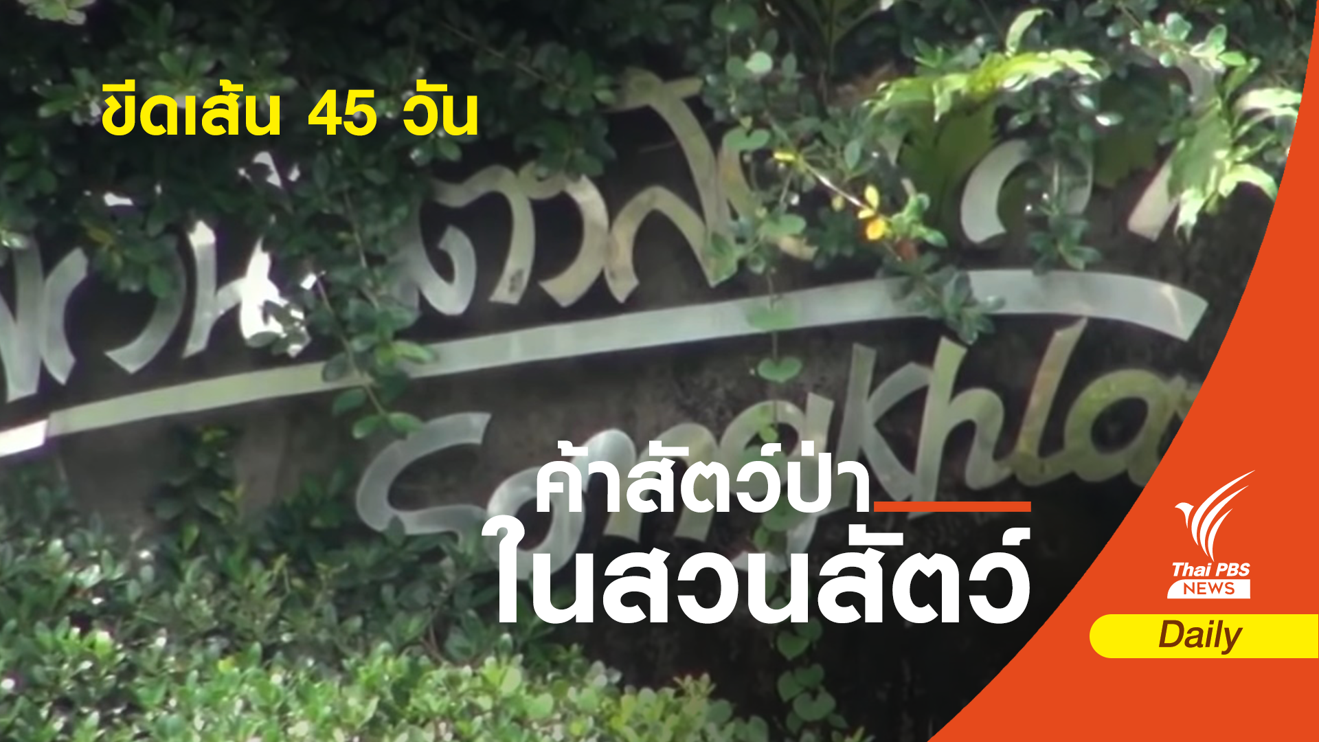 เปิดชื่อ 6 กรรมการคนนอกสอบค้าสัตว์-ขีดเส้น 45 วัน