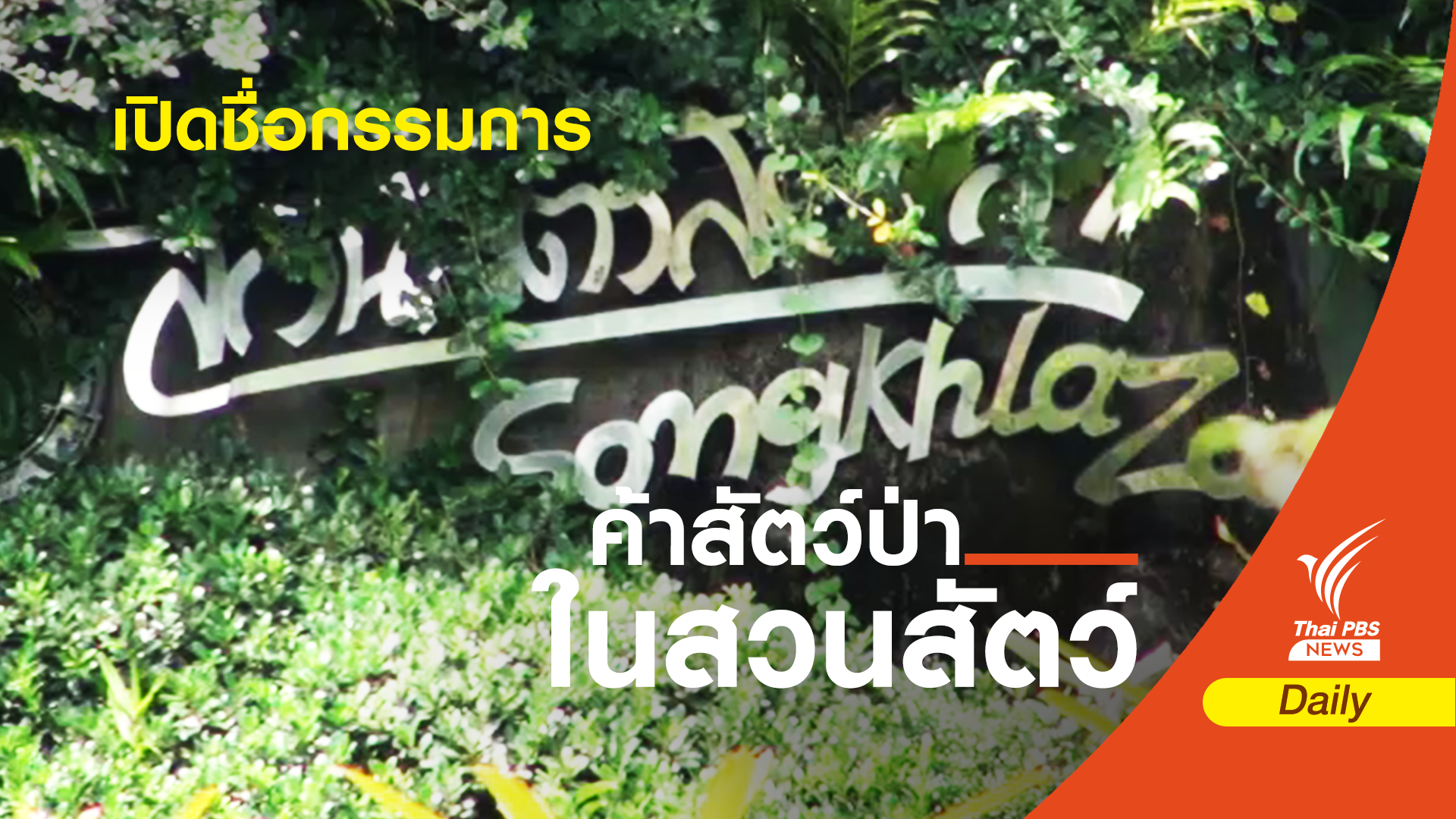 ใครบ้าง? นั่ง 9 กรรมการสอบปมสวนสัตว์สงขลา