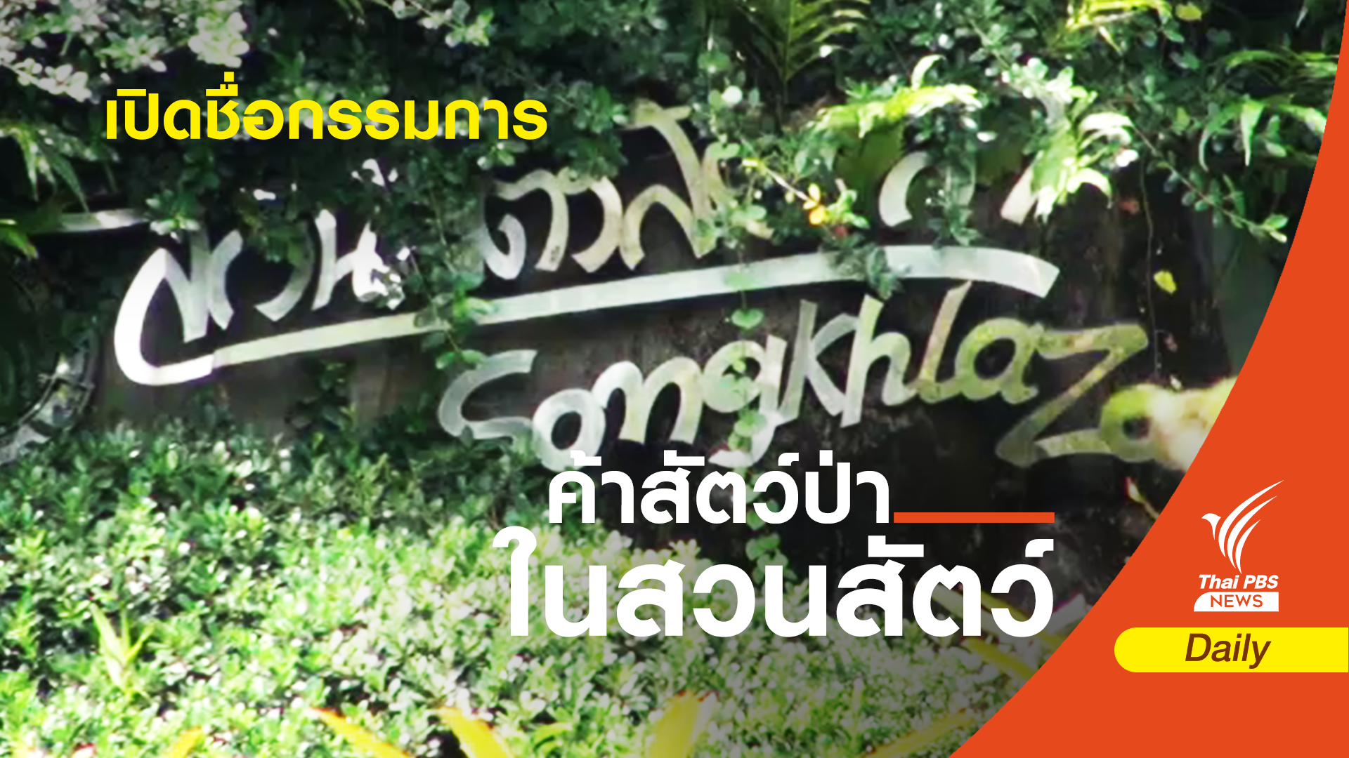 ใครบ้าง? นั่ง 9 กรรมการสอบปมสวนสัตว์สงขลา 