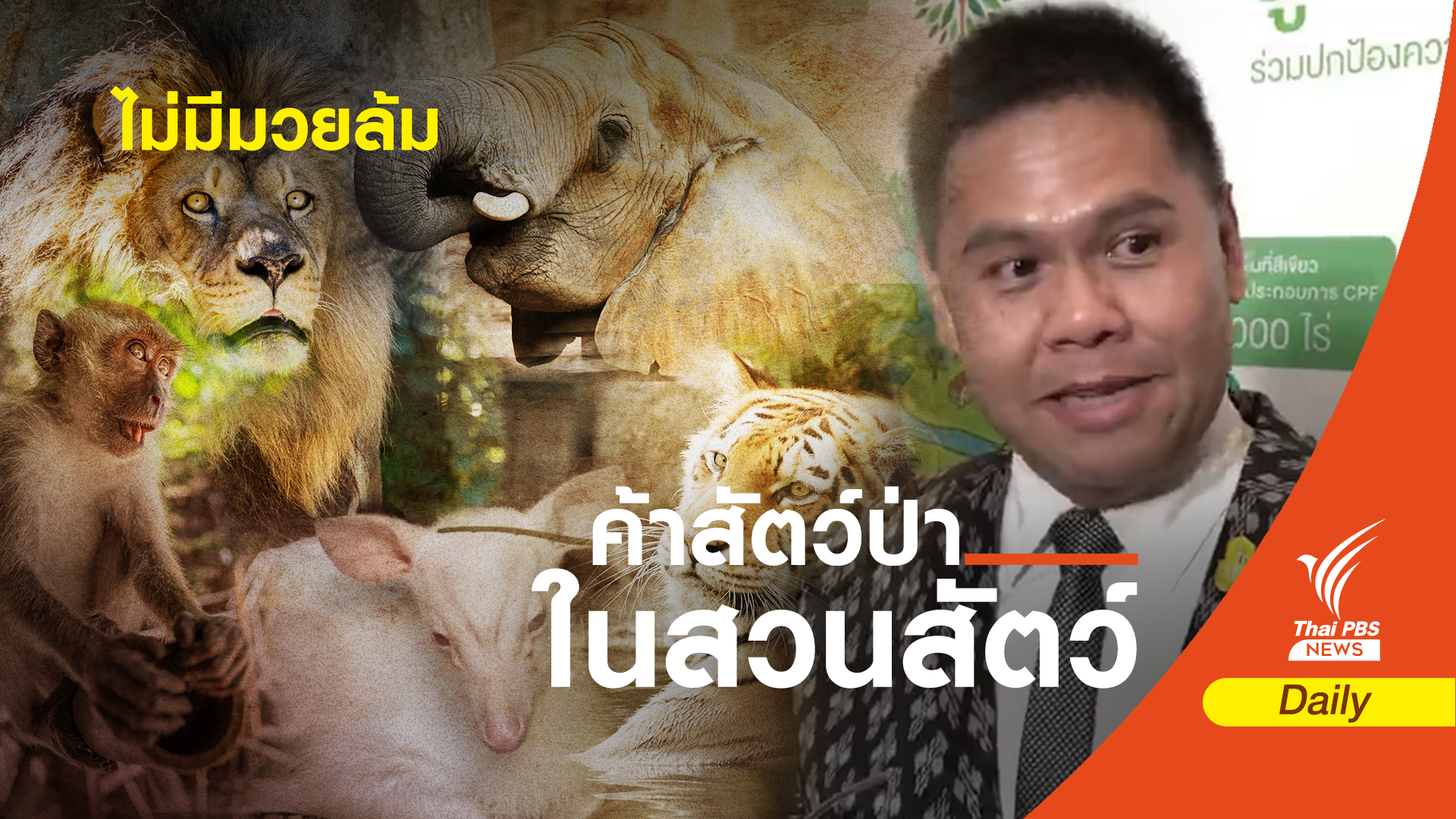 “วราวุธ” นัดถกกรรมการสอบปมสวนสัตว์ 12 ต.ค.นี้