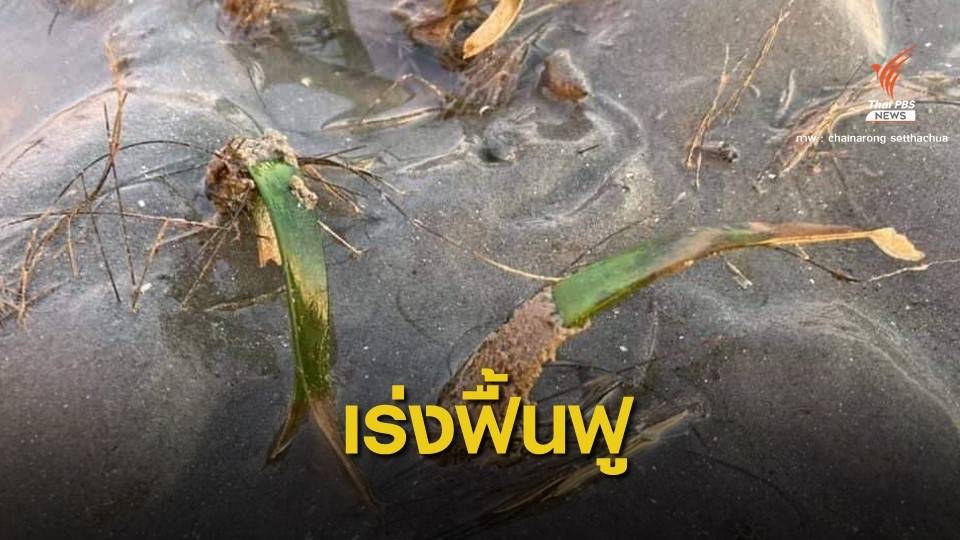 มติร่วม! สั่งยุติทิ้งตะกอนใกล้เกาะลิบงหลังหญ้าทะเลตาย