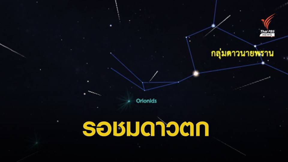 สดร.ชวนชม "ฝนดาวตกโอไรออนิดส์" หลัง 5 ทุ่ม คืนนี้