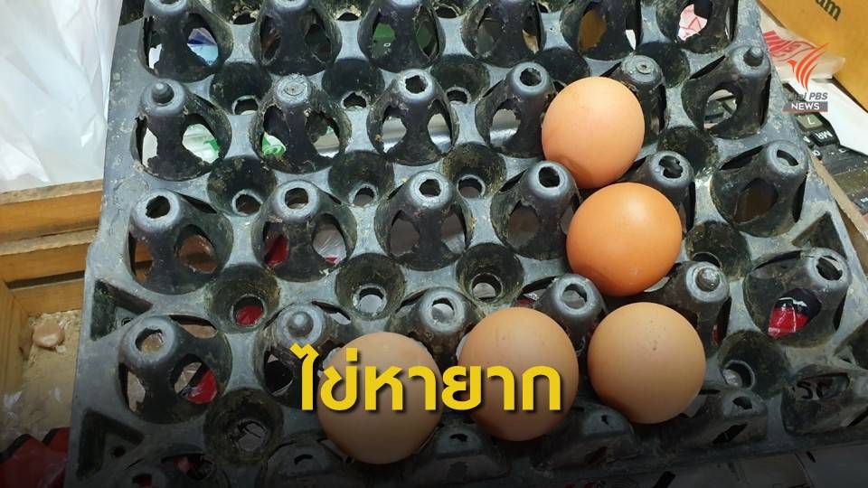 พิษ พ.ร.ก. ประชาชนแห่ซื้อไข่ไก่จนขาดตลาด 