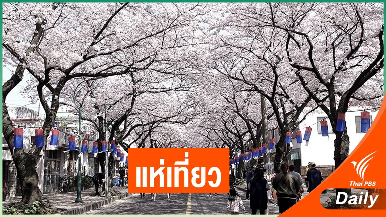 ชาวเกาหลีใต้แห่ท่องเที่ยว หลังสถานการณ์โควิด-19 เริ่มคุมได้