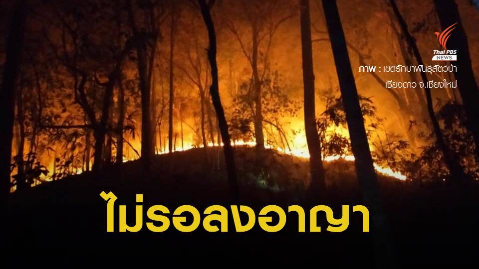 ศาลสั่งจำคุกผู้ต้องหา คดีเผาป่าเชียงดาว 2 ปี - ปรับ 4.3 แสนบาท