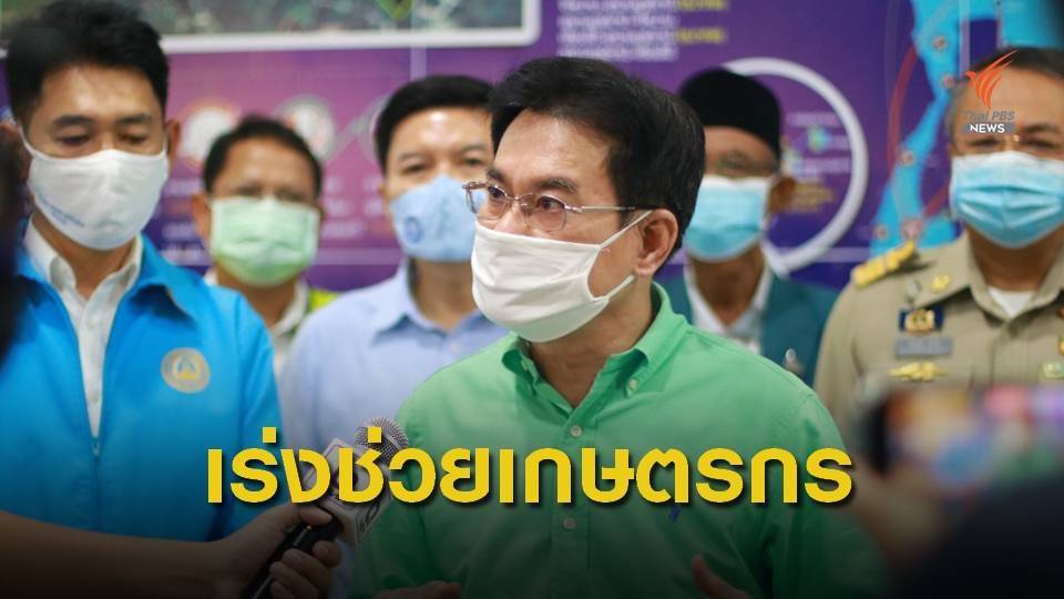 รมว.พาณิชย์ เร่งช่วยชาวสวนปาล์มแก้ปัญหาราคาตกต่ำ