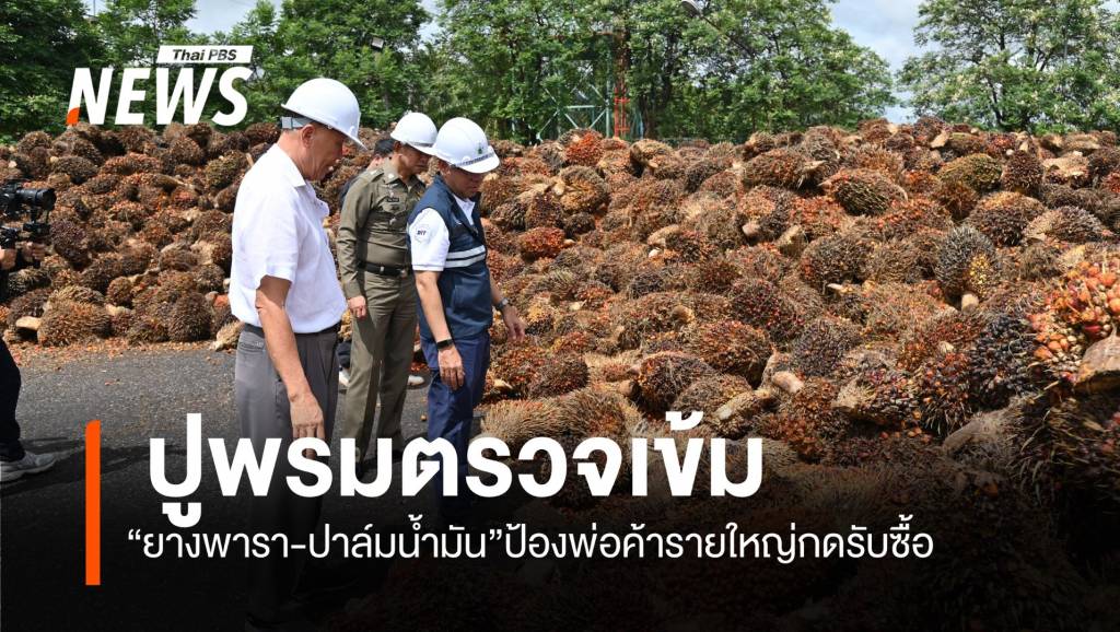 ปูพรมตรวจเข้ม “ยางพารา-ปาล์มน้ำมัน”ป้องพ่อค้ารายใหญ่กดรับซื้อ | Thai ...