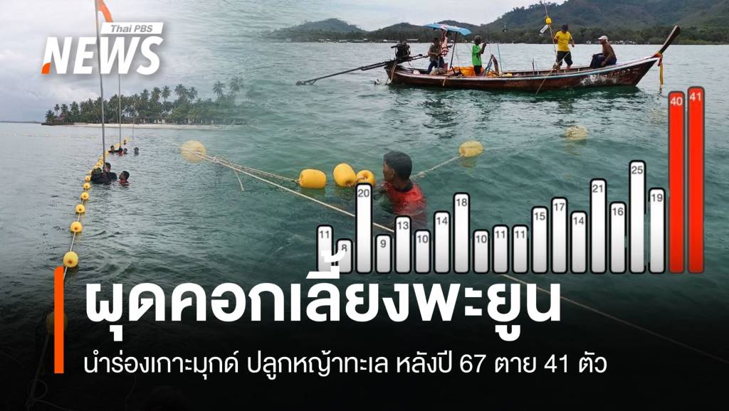 ทช.ผุดคอกทดลองเลี้ยง “พะยูน” ปลูกหญ้าทะเลนำร่องเกาะมุกด์