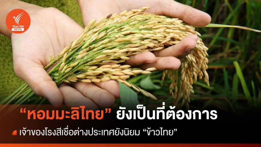 เจ้าของโรงสีเชื่อ ตลาดต่างประเทศยังนิยม "ข้าวหอมมะลิไทย" | Thai PBS ...