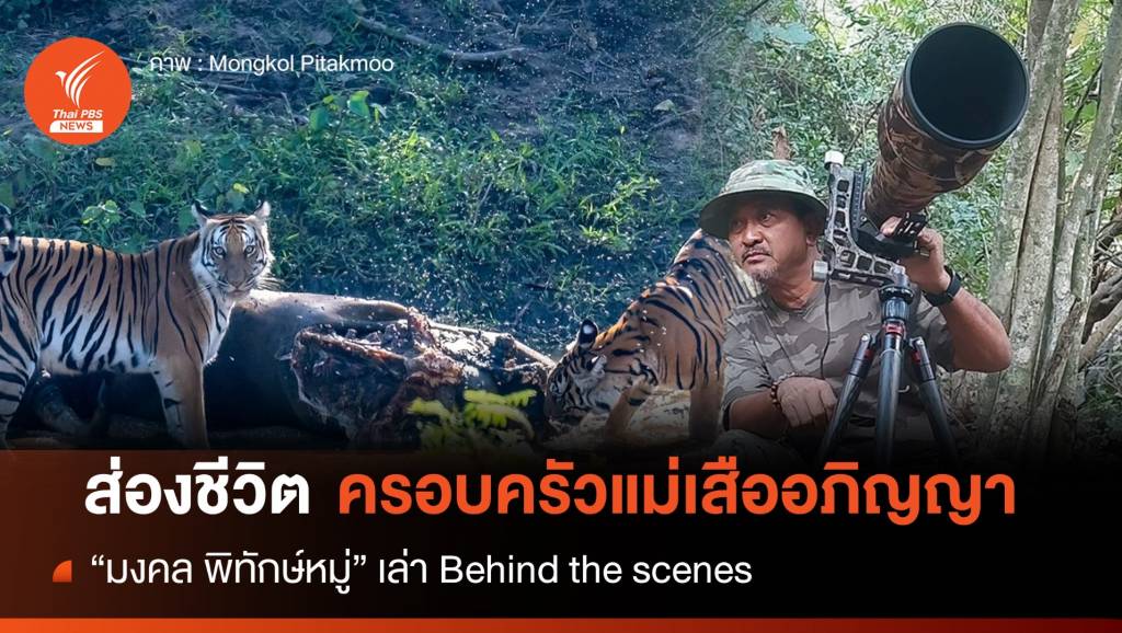 Behind the scenes "มงคล" ผู้บันทึกภาพครอบครัวเสืออภิญญา | Thai PBS ...