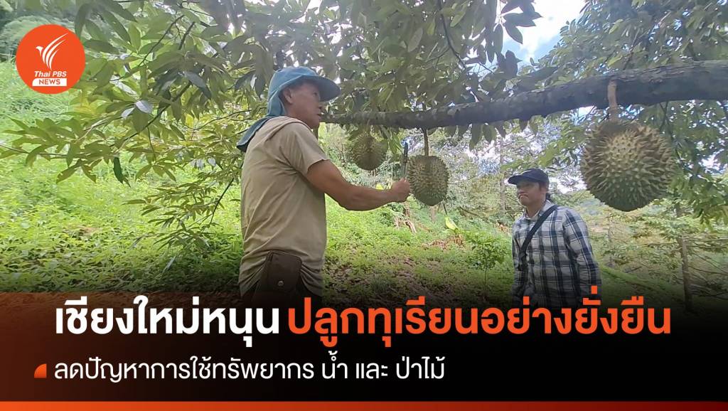 ชาวเหนือแห่ปลูก "ทุเรียน" หวั่นจุดชนวนปัญหาการแย่งชิงน้ำ | Thai PBS ...