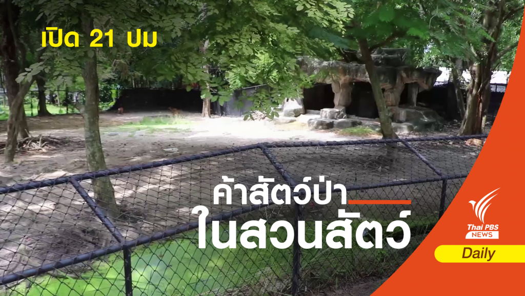 พบ 21 ปม ร้องผู้บริหารฯ โยงคดี "สวนสัตว์สงขลา" | Thai PBS News ข่าว ...