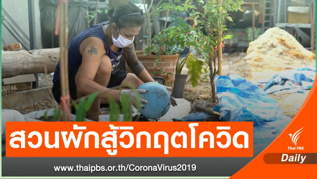 สวนผักคนเมือง ชม. พื้นที่ผลิตอาหารสู้โควิด-19 | Thai PBS News ข่าวไทย ...