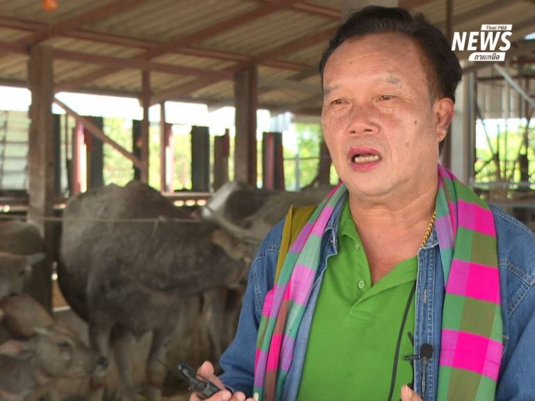 ประสิทธิ์ มณีวรรค์ ผู้จัดตั้งศูนย์อนุรักษ์ควายไทย จ.ลำพูน
