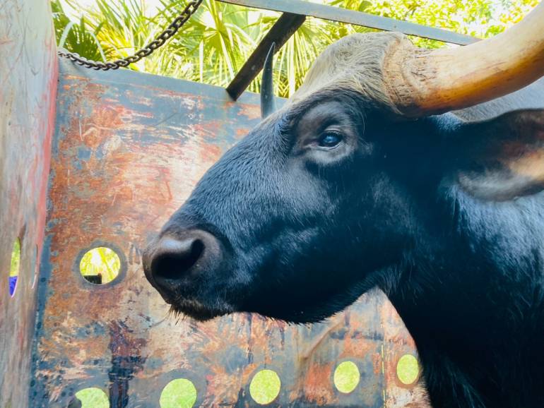 ภาพ : กรมอุทยานฯ 