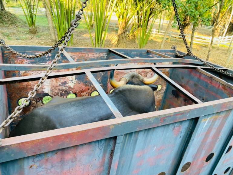 ภาพ : กรมอุทยานฯ 