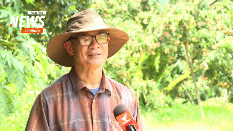 ดำรงค์ จินะกาศ ประธานลำไยแปลงใหญ่แม่ทา จ.ลำพูน