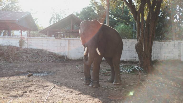 ภาพประกอบข่าว