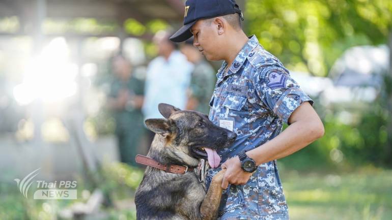 ครูฝึก อาลัย - บอกลา ส่งต่อ น้องหมา สุนัขทหาร หลังจบภารกิจประมูล ต่างต้องแยกย้าย อวยพรน้องหมาโชคดี มีสุข ในบ้านหลังใหม่