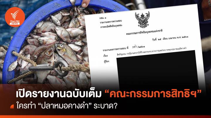 เปิดรายงานฉบับเต็ม "คณะกรรมการสิทธิฯ" ใครทำ "ปลาหมอคางดำ" ระบาด?