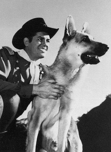 ดาราสัตว์รุ่นบุกเบิก สุนัขพันธุ์เยยอรมันเชพเพิร์ด Rin Tin Tin ที่มา : wikipedia