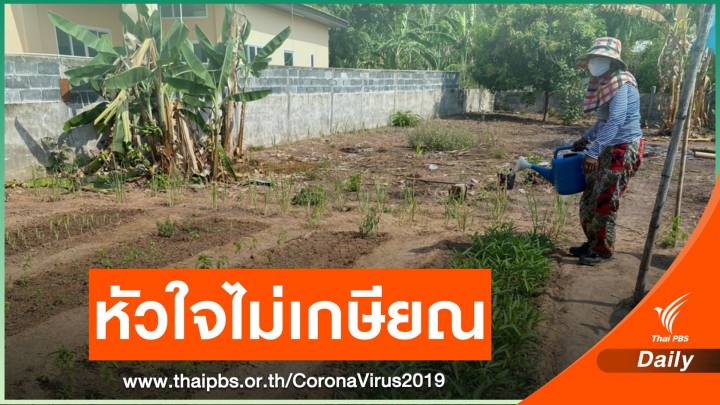 พิษโควิด-19 ผู้สูงอายุถูกเลิกจ้างงาน แต่หัวใจไม่ยอมเกษียณ
