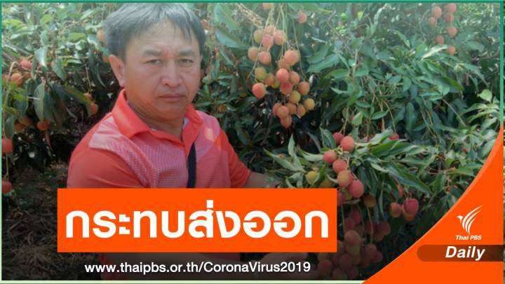 ปิดชายแดนคุม COVID-19 กระทบส่งออกลิ้นจี่เชียงราย