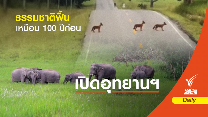 "หมอล็อต" ทึ่งธรรมชาติฟื้นเทียบ 100 ปี สัตว์ป่ายึดคืนพื้นที่