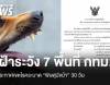 ประกาศเขตโรคระบาด &quot;พิษสุนัขบ้า&quot; 7 พื้นที่ กทม. 
