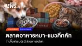 ตลาดอาหารหมา-แมวคึกคึก ไทยขึ้นแท่นเบอร์2 ส่งออกโลก