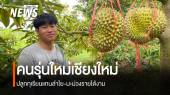 คนรุ่นใหม่ปลูกทุเรียนแทนลำไย-มะม่วง สร้างรายได้งามขายหมดตั้งแต่ยังไม่เก็บ