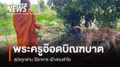 พระครูอ๊อดบิณฑบาต สุนัขถูกล่าม ไร้อาหาร เฝ้าสวนลำไย