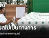 ผลเลือกตั้งเทศบาล 2568 เช็กว่าที่นายกเทศมนตรี  