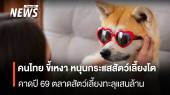 คนไทย ขี้เหงา หนุนกระแสสัตว์เลี้ยงโต คาดปี69 ตลาดสัตว์เลี้ยงทะลุแสนล้าน   