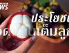 มังคุด ผลไม้ฤทธิ์เย็น หวานชื่นใจ แต่ใครต้องกินอย่างระวัง