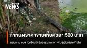 เพาะพันธุ์เชิงเศรษฐกิจ กรมอุทยานฯ กำหนดราคาขาย "เหี้ย" ตัวละ 500 บาท