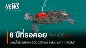 "คุณปู่เป้แดง" 8 ปีที่รอคอยว่ายน้ำ 5 วัน 200 กม. กลับบ้านสิมิลัน 