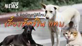 เลี้ยงสัตว์ใน กทม.ต้องรู้ ข้อบัญญัติใหม่ ควบคุมการเลี้ยง-ปล่อยสัตว์ 