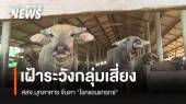 สสจ.มุกดาหาร เฝ้าระวังกลุ่มเสี่ยง "โรคแอนแทรกซ์"