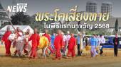 วันพืชมงคล เปิดที่มา พระโคแรกนาขวัญ 2568 โคพื้นเมือง เขางาม ขนสีขาว เดินสง่า