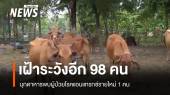 มุกดาหารพบผู้ป่วยโรคแอนแทรกซ์รายใหม่ 1 คน เฝ้าระวังอีก 98 คน